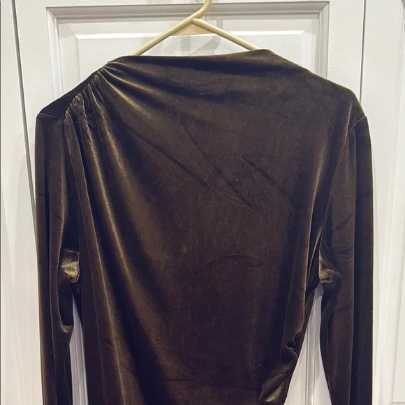 Elegant Velvet Dress - Picture 4 of 5